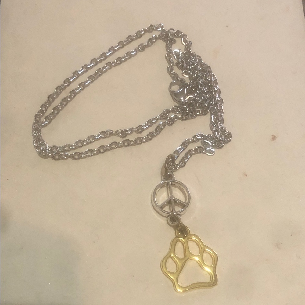 Silver Chain Pet Paw Pendant Necklace with Gold Paw Charm